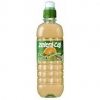 Iced Green Tea with lemon 0,5 l