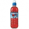 Mixed berries Iced Tea 0,5 l