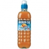 Peach Iced Tea 0,5 l