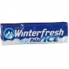 Winterfresh Polar Ice 14 g